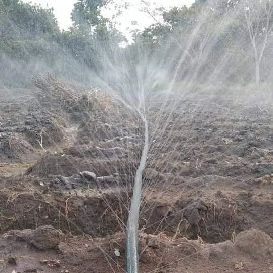 OEM Factory Garden Irrigation Rain Pipe Micro Spray Tape Sprinkler Hose