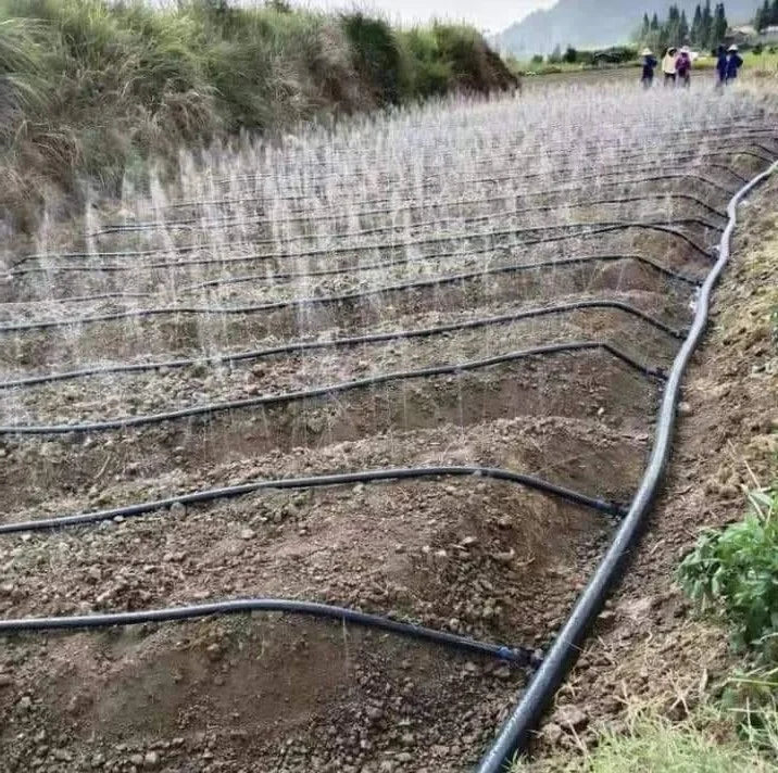 Agriculture Farmland Rain Spray Tape Irrigation System Laser Perforated Micro Spray Tape Rain Hose