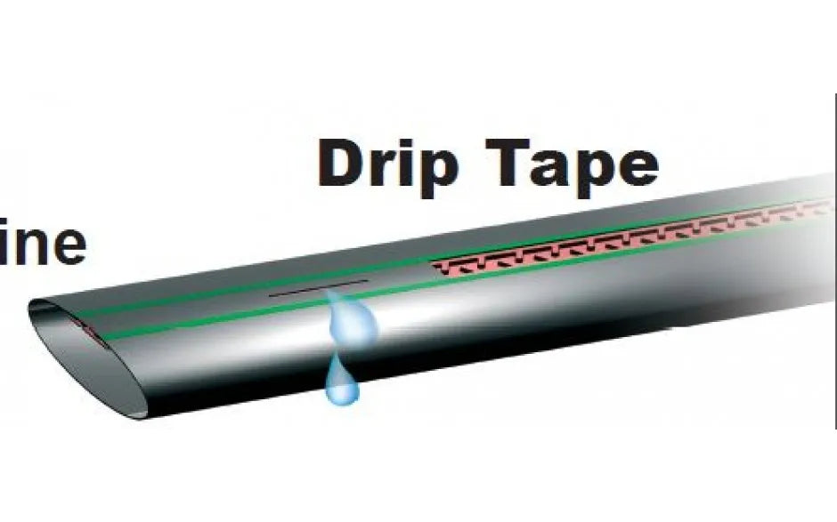 Hot Sale Plentirain Brand t Tape Blue Stripe Drip Tape with Double Line