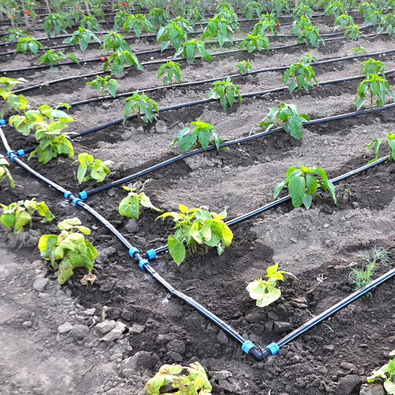 1 Hectare Agricultural Greenhouse Irrigation Pipes 2000m Roll 16mm Drip Tape Roll for Farm System