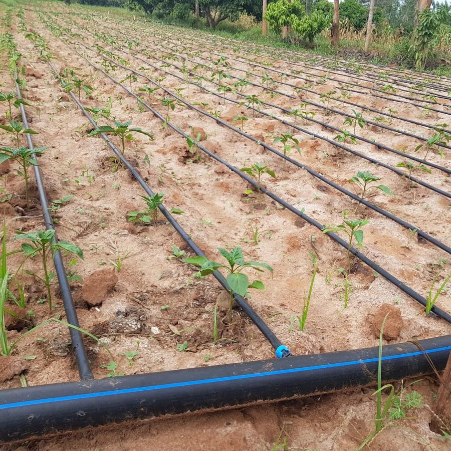 Agricultural Farm System Irrigation Drip Tape
