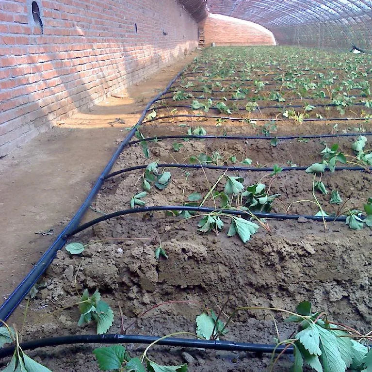 16mm Irrigation Drip Pipe Drip Line With Column Emitter Manufacturer in China