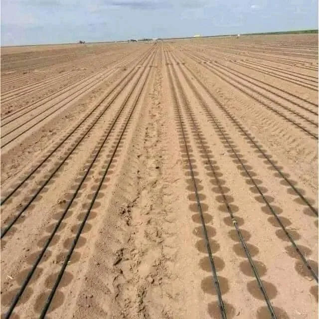 Agricultural Greenhouse Field System Roll 15cm Flat Dripper Irrigation Drip Tape with Double Blue Line
