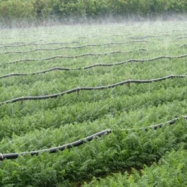 Plentirain Irrigation Spray System Used Rain Spray Tube Sprinkler Hose Irrigation Spray Tube