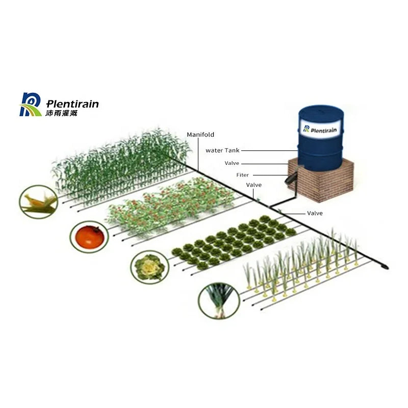 Other Watering & Irrigation System Customized Spacing 16mm Agriculture Farm Garden Drip Irrigation System