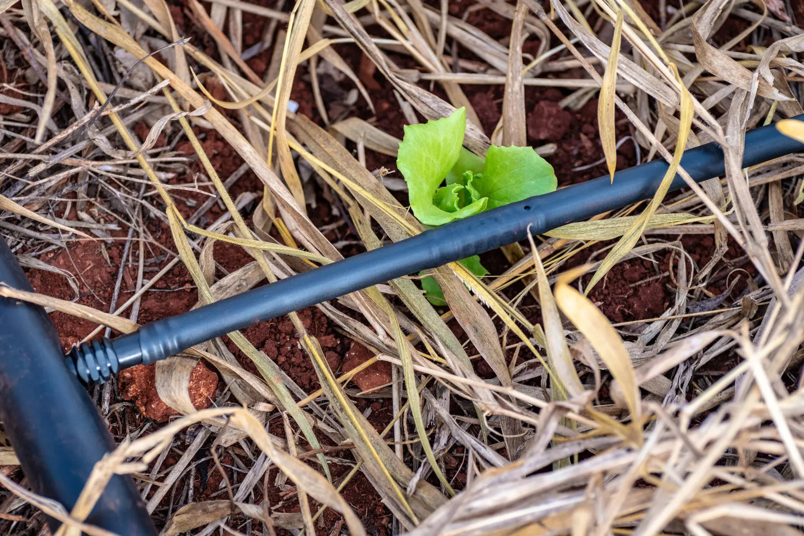 1 Hectare Plastic Drip Irrigation Kit 0.3mm Drip Tape for Greenhouse Water Hose Garden Irrigation