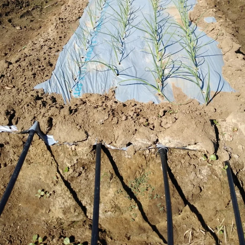 16mm Irrigation Drip Pipe Drip Line With Column Emitter Manufacturer in China