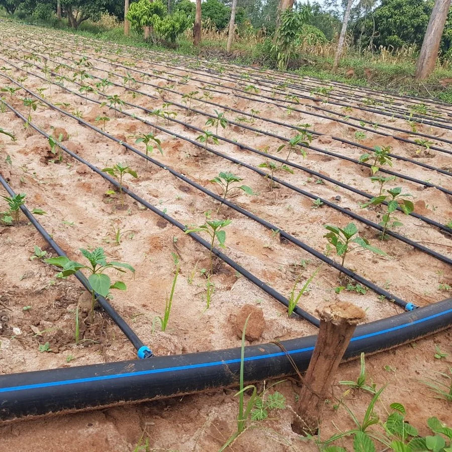 Plentirain 1 Hectare Design Agricultural Drip Irrigation System