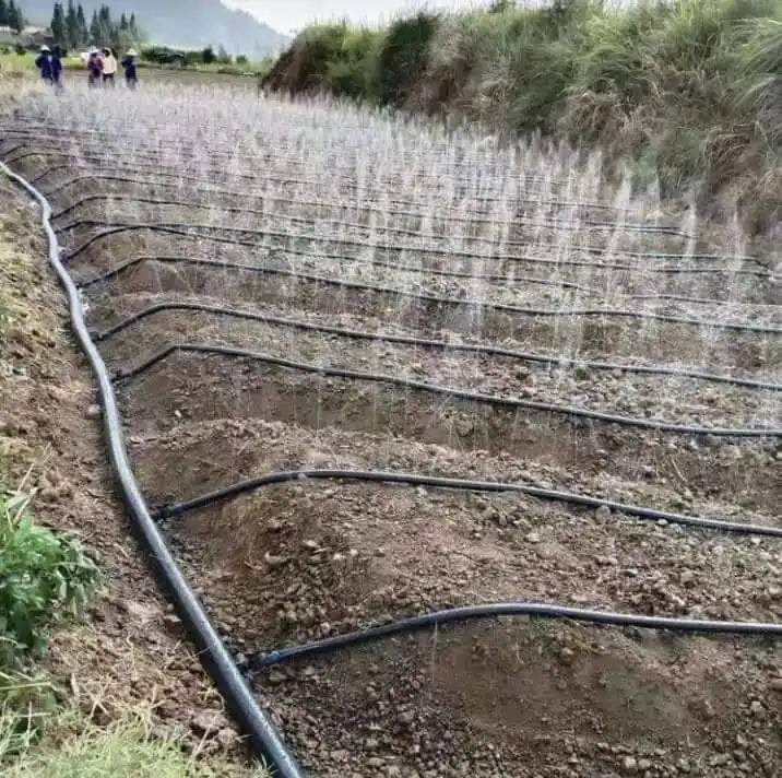 Plentirain Rain Spray Hose PE Micro Spray Tape Irrigation Tube Rain Hose Diameter 32mm for Farm Irrigation System