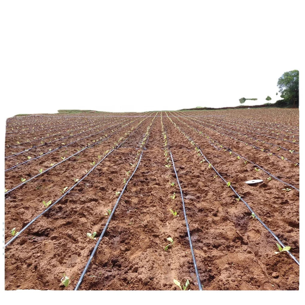 Plastic PE Material Agricultural Flat Drip Irrigation Tape for Greenhouse