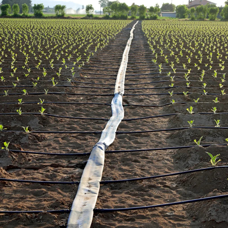 Adjustable Plentirain Inner Flat Dripper Farm Irrigation Systems Drip Tape China
