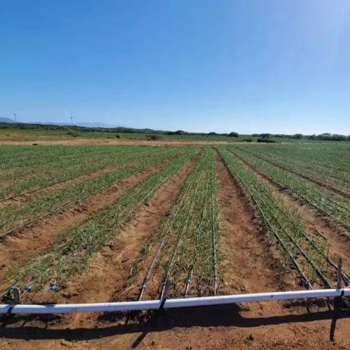 Farm Irrigation System Plastic Black Flat Drip Tape for Watering and Irrigation