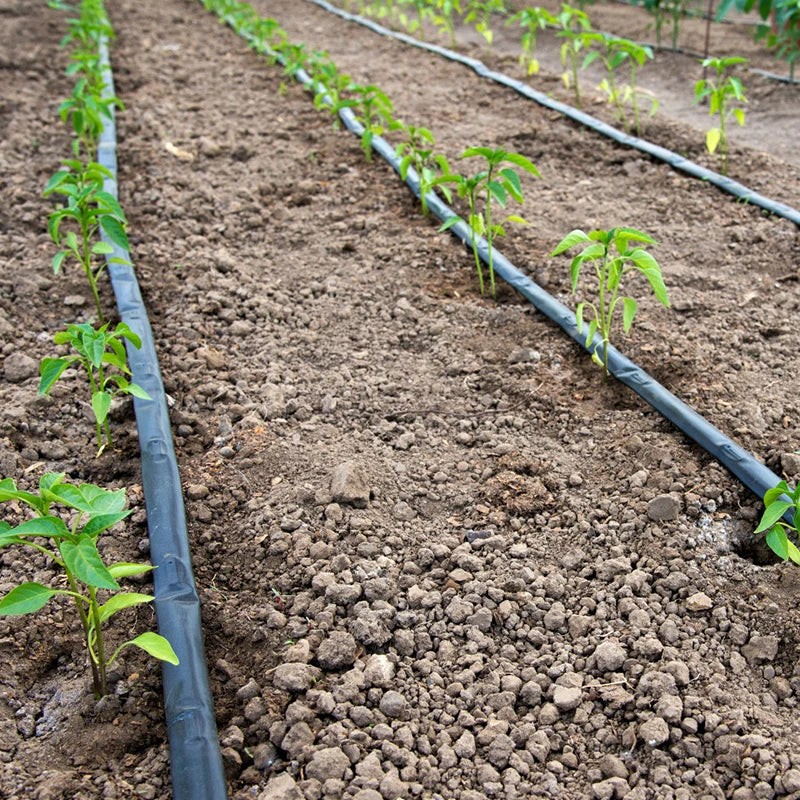 Flat Dripper PE Drip Pipe Agricultural Irrigation System Drip Tape Drip Irrigation Pipe Price