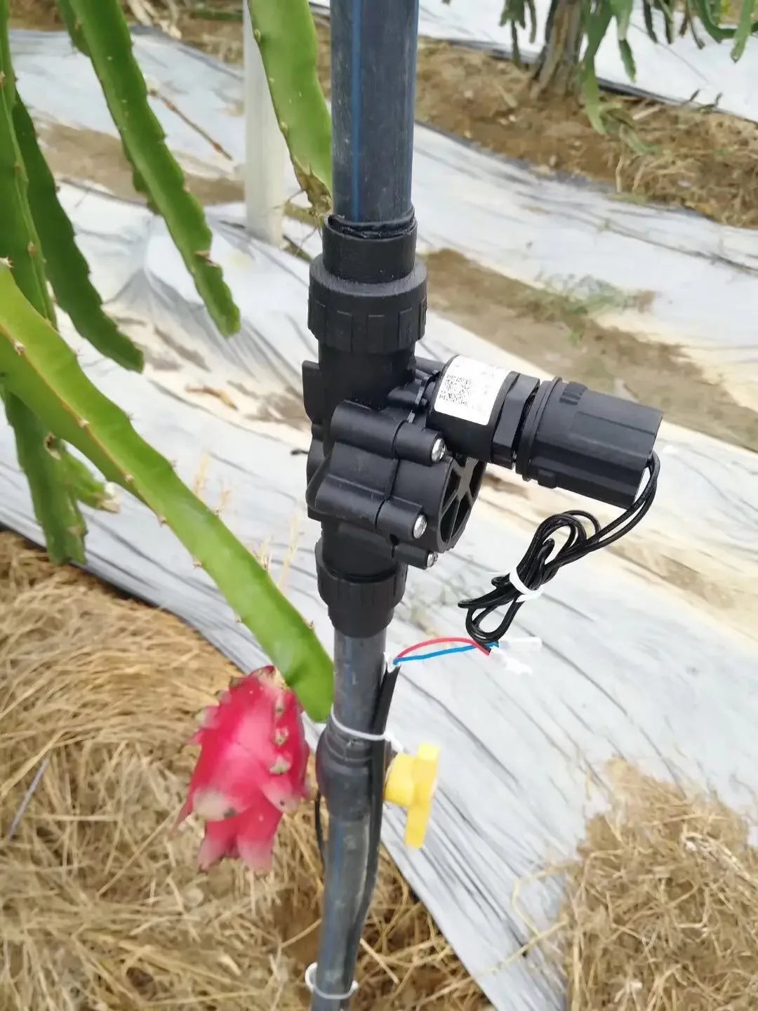 农场自动灌溉控制器手动控制阀12v 24v液压控制阀家庭和花园水电磁阀