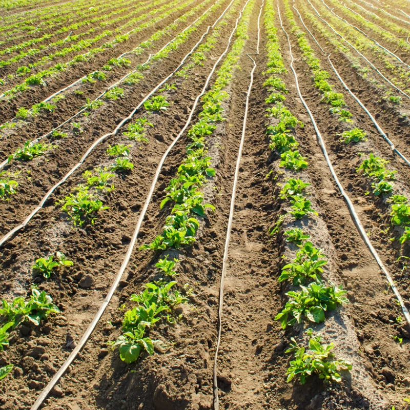 Farmland Corn Flat Drip Irrigation System 22mm Drip Watering Hose Drip Irrigation Tape Price