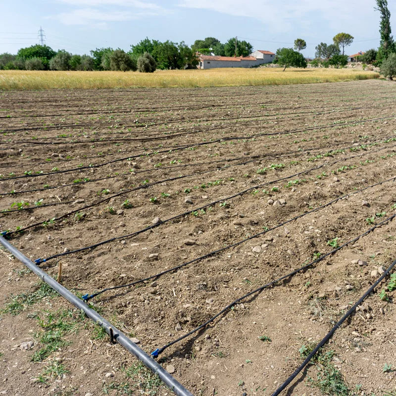 Farm Flat Emitter Drip Irrigation Pipe with 0.3mm Wall Thickness