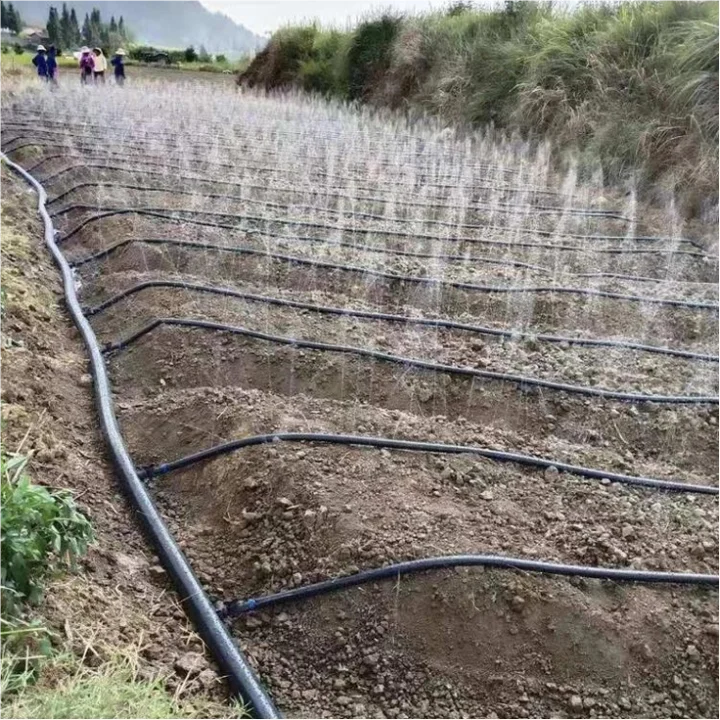 Agriculture Garden Sprinkler Irrigation System Micro Spray Tape Rain Spray Hose Double Wing Rain Spray Tape