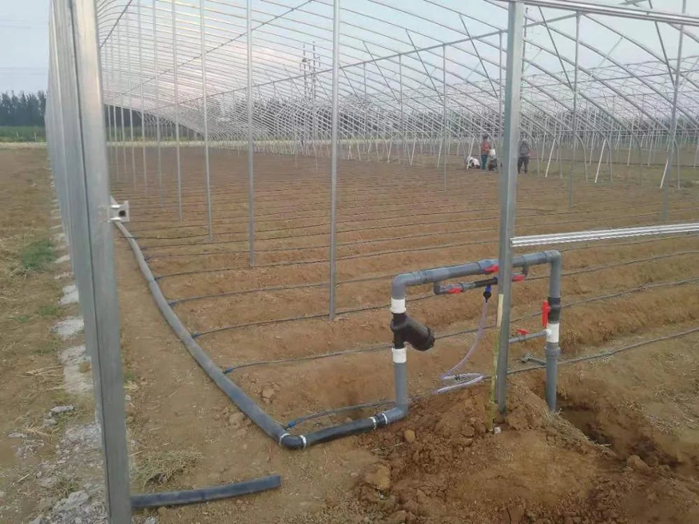 农业和温室灌溉系统设计 滴灌系统 滴灌带灌溉系统