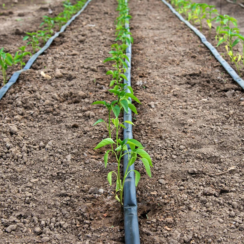 Plentirain Drip Pipe With Flat Inline PC Dripper for Farm and Garden Drip Irrigation System