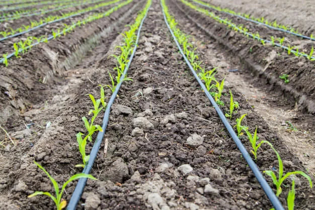 2 Hectares Design Drip Irrigation System