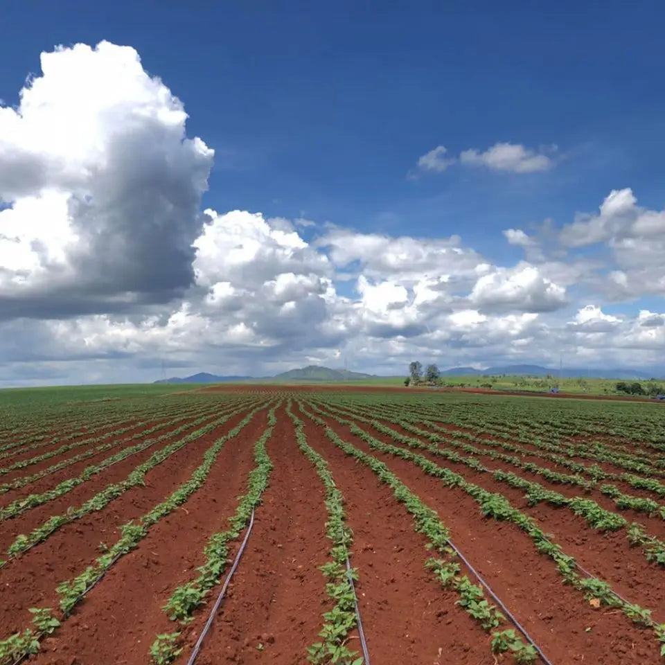 China Drip Tape Agriculture Drip Irrigation Tape Farm Irrigation Drip Tape