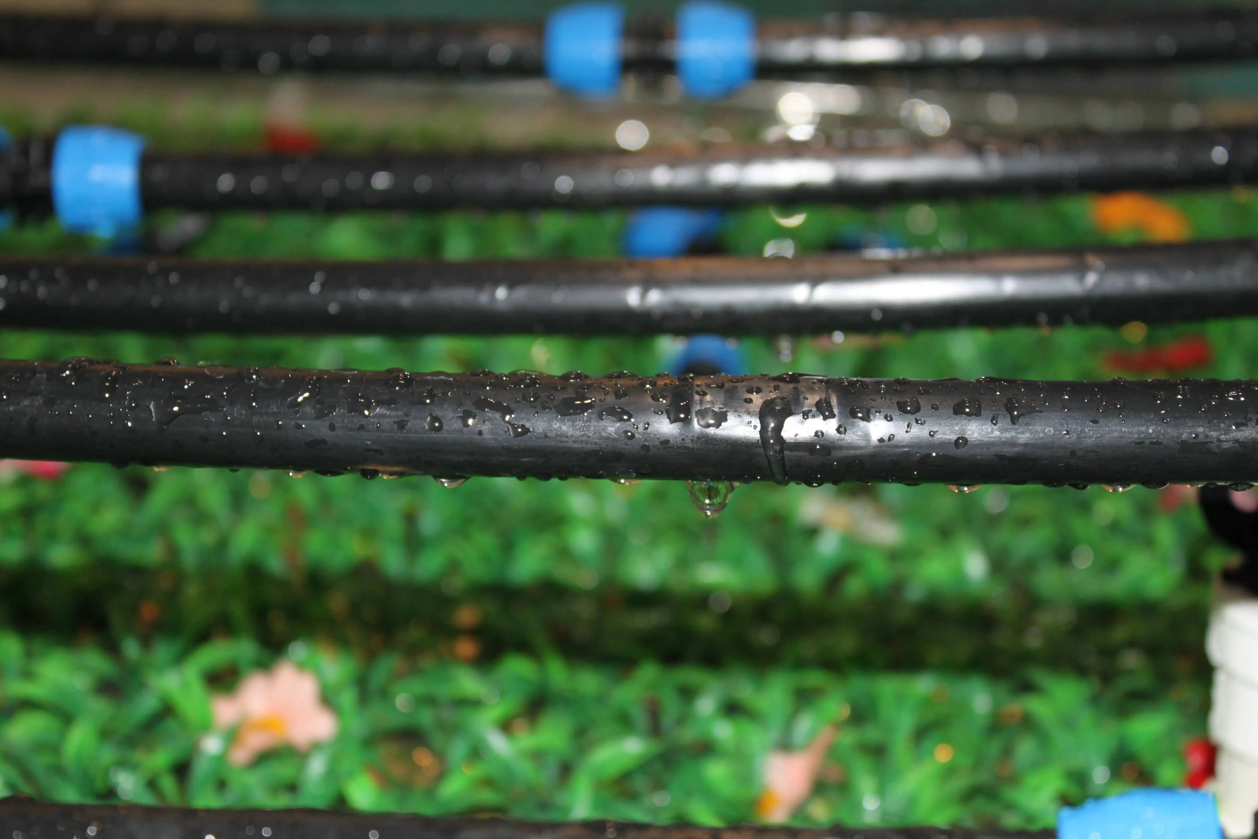Plentirain 4L/8L PC Online Dripper for Drip Irrigation Plastic Pressure Compensate Watering Irrigation System