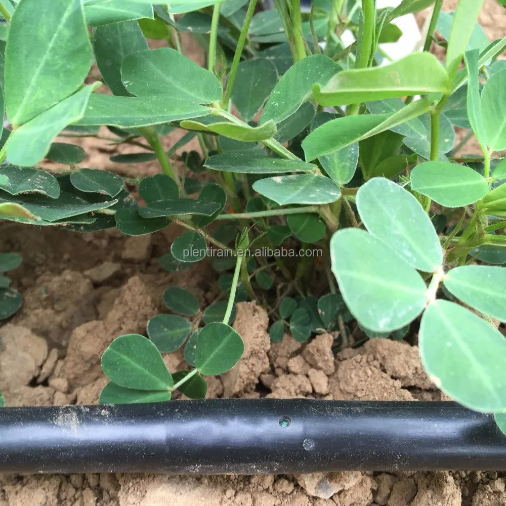 Economical Dual Individual Plastic Drip Irrigation Pipe Cylindrical Outlets for Farm & Garden Watering & Irrigation