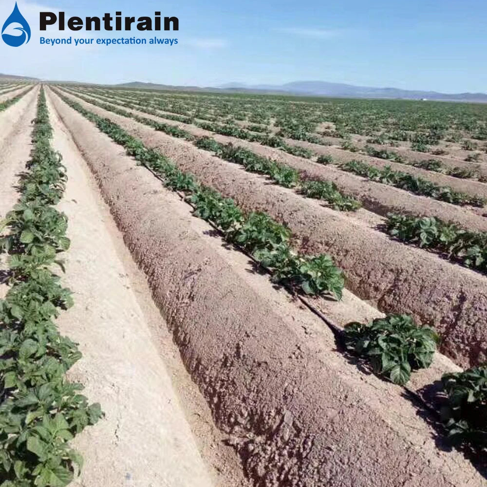 Flat Dripper Drip Tape Drip Irrigation Pipe Price Other Watering & Irrigation