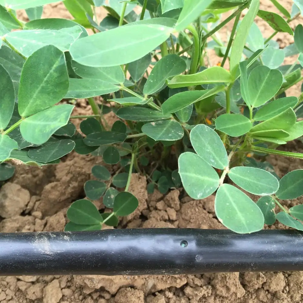 Factory Supply Drip Irrigation Pipe 16mm Drip Line 1m Spacing for Tree Irrigation