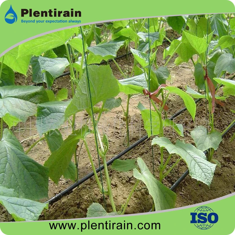Pipes Plastic Price System 16mm Farm Agricultural LDPE Drip Pipe PE Irrigation Pe Tube