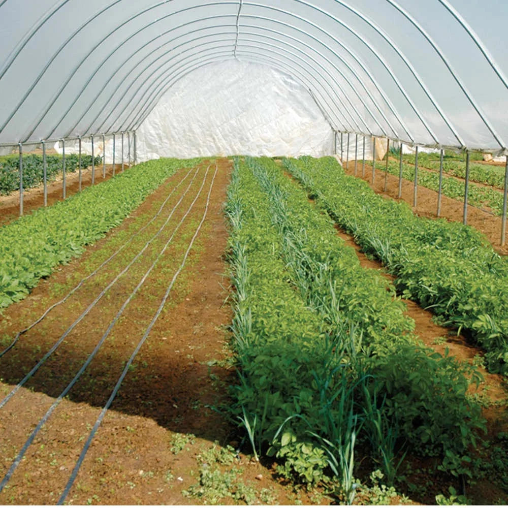 Manguera De Riego Por Goteo Agricola Cinta De Goteo Drip Tape Irrigation System Cinta Riego Por Goteo