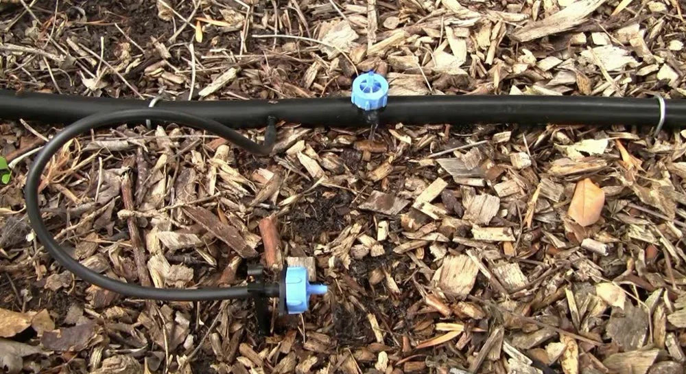 2LPH PC Dripper Pressure Compensating Dripper Drip Emitter for Arrow Drip System on Line Dripper