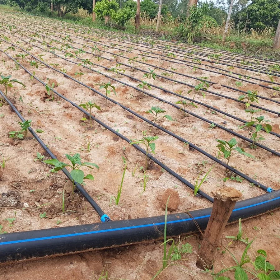 Agriculture 2 Hectares Designed Drip Irrigation System