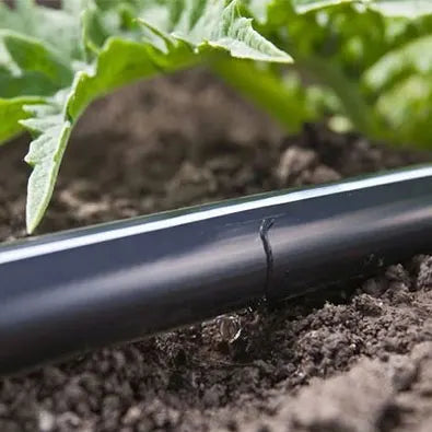 Plentirain Brand China Line T Drip Tape with Two Blue Line for Farm Drip Irrigation System