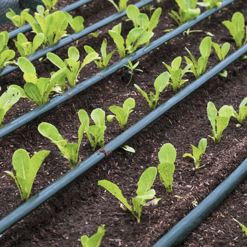 Plentirain 16mm Drip Irrigation Tape Drip Line Irrigation System