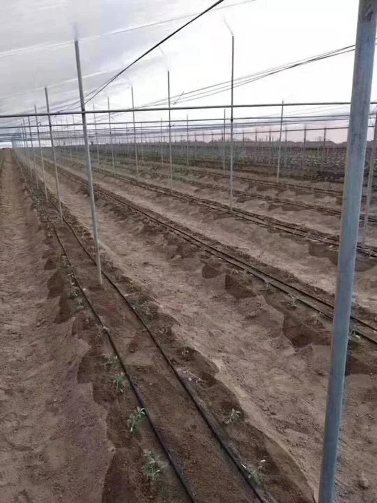 HYRT品牌滴灌系统设计0.2毫米厚度30厘米间距滴灌带/管